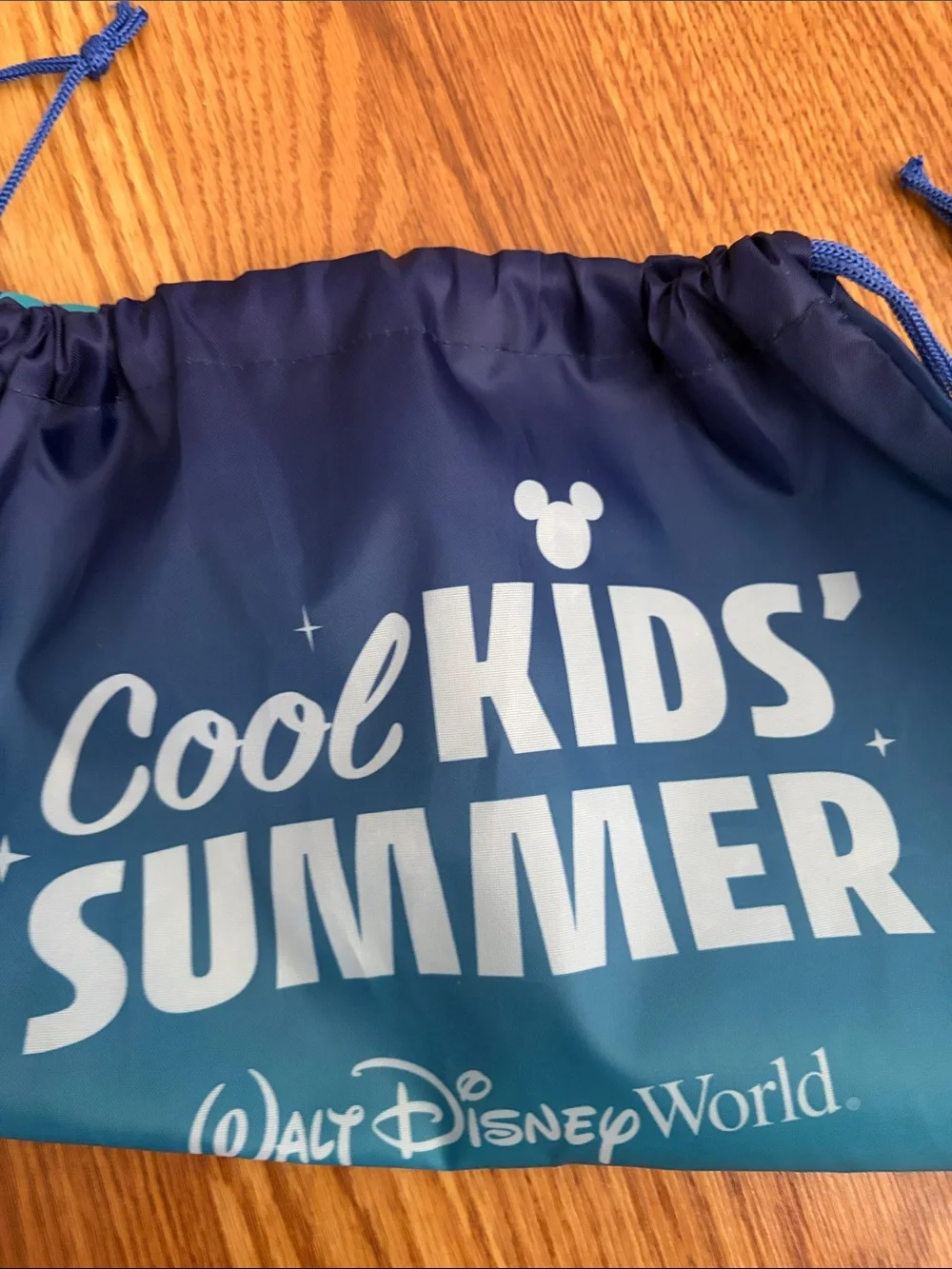 Disney Blue Teal 